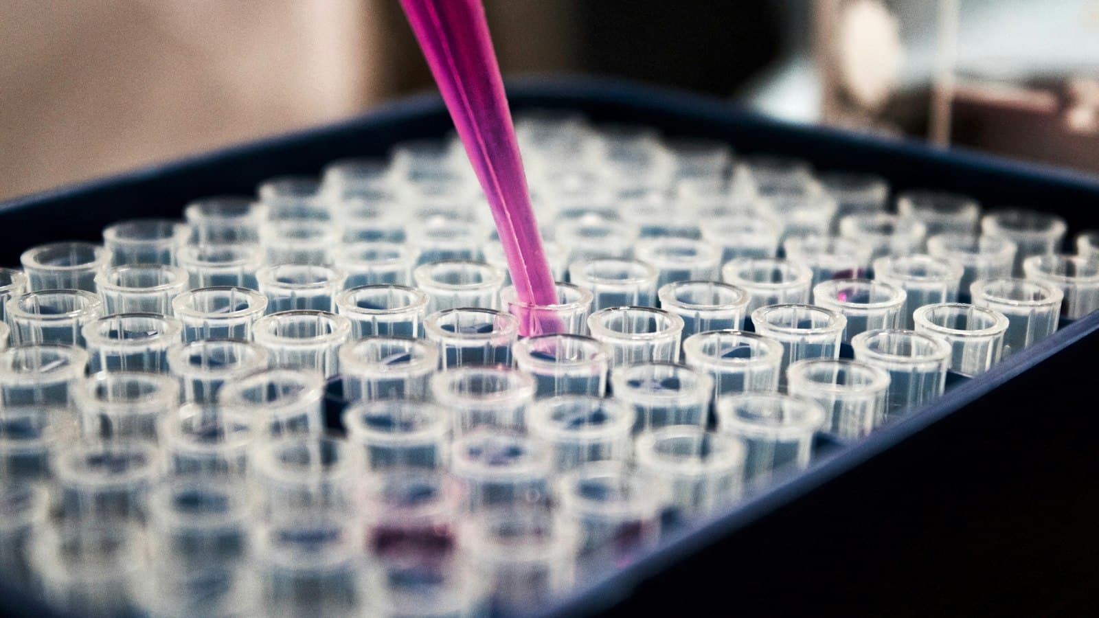 A pipette adding blue liquid to test tubes in a research lab